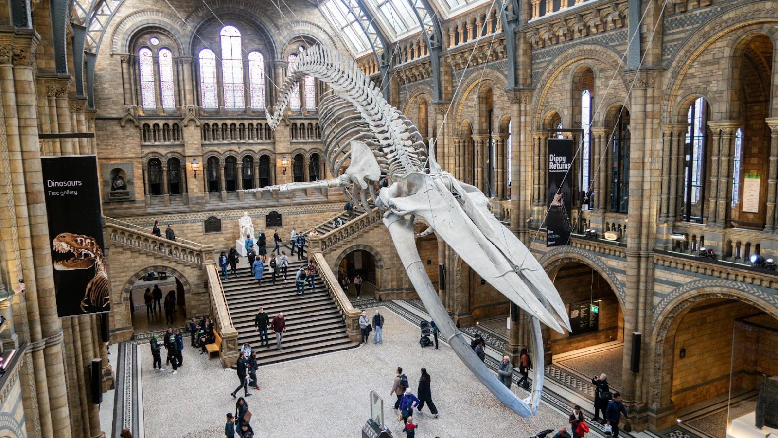 Blue whale skeleton suspended in grand hall of Natural History Museum London with Victorian architecture and visitors on stairs below.