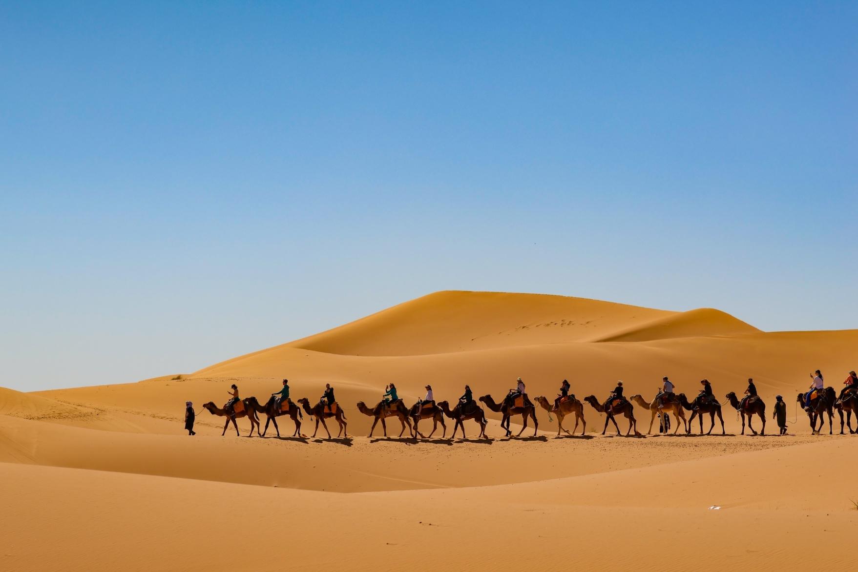 Luxury desert camel trek across golden dunes in Morocco at sunset, showcasing the vast beauty of the Sahara.